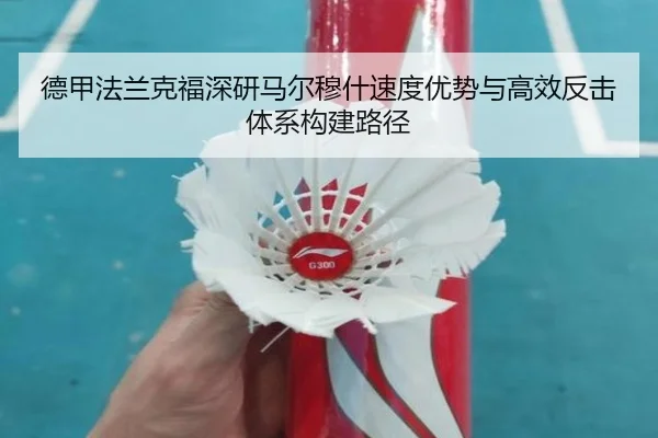 德甲法兰克福深研马尔穆什速度优势与高效反击体系构建路径