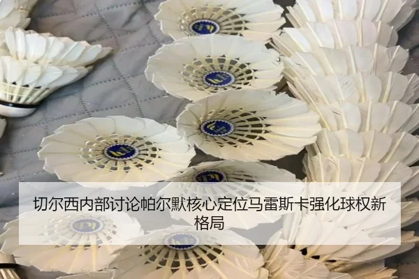 切尔西内部讨论帕尔默核心定位马雷斯卡强化球权新格局